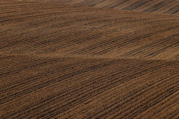 Cultivated fields in Czech Moravia, patterns and lines on the ground. Czech Tuscany