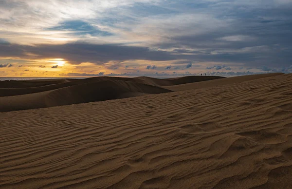 Maspalomas Dunes photographed at sunrise golden hour. Gran Canaria, Spain