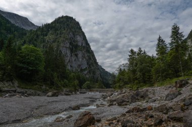 Nehir ve ormanlı güzel bir manzara.