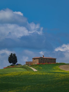 İlkbaharda Toskana tarlaları