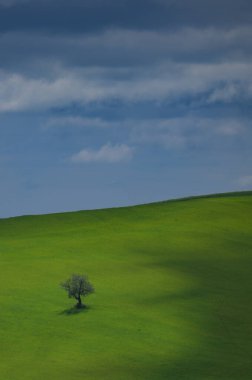 İlkbaharda Toskana tarlaları, bulutlu bir gün, Val d 'Orca, Pienza bölgesi