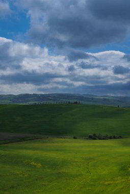 İlkbaharda Toskana tarlaları, bulutlu bir gün, Val d 'Orca, Pienza bölgesi