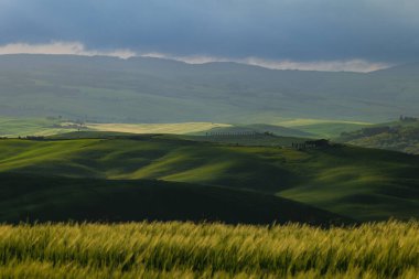 İlkbaharda Toskana tarlaları, gün doğumu sisli havası, Val d 'Orca, Pienza bölgesi