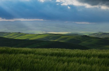 İlkbaharda Toskana tarlaları, gün doğumu sisli havası, Val d 'Orca, Pienza bölgesi