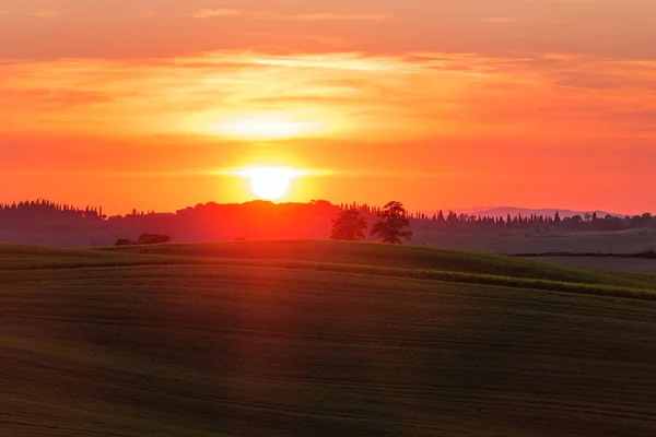 İlkbahar günbatımında Toskana tarlaları