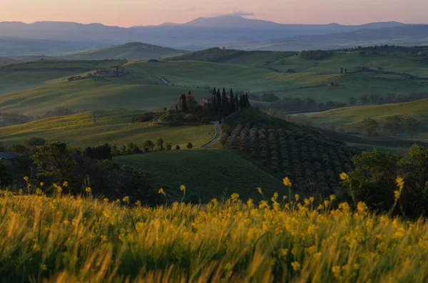 Toskana Felder Frühling Sonnenaufgang Neblig Val Orca Region Pienza — Stockfoto