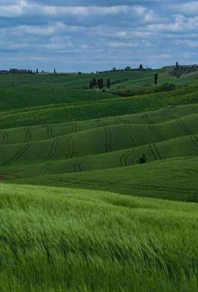 İlkbaharda Toskana tarlaları, bulutlu bir gün, Val d 'Orca, Pienza bölgesi