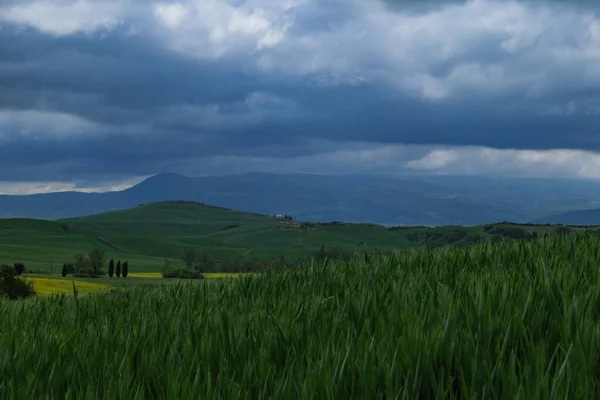 Tuscany Fields Springtime Cloudy Day Mood Val Orca Pienza Region — Stock Photo, Image
