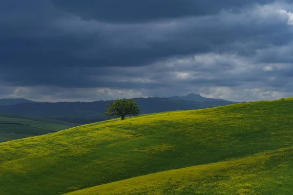 İlkbaharda Toskana tarlaları, bulutlu bir gün, Val d 'Orca, Pienza bölgesi