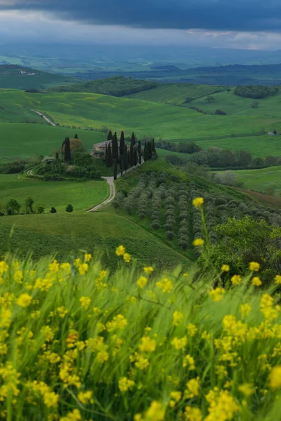 Campos Toscana Primavera Amanecer Niebla Estado Ánimo Val Orca Región — Foto de Stock
