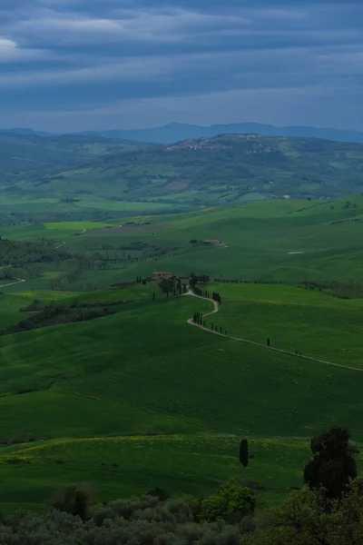 Toskana Felder Frühling Bewölkte Tagesstimmung Val Orca Region Pienza — Stockfoto