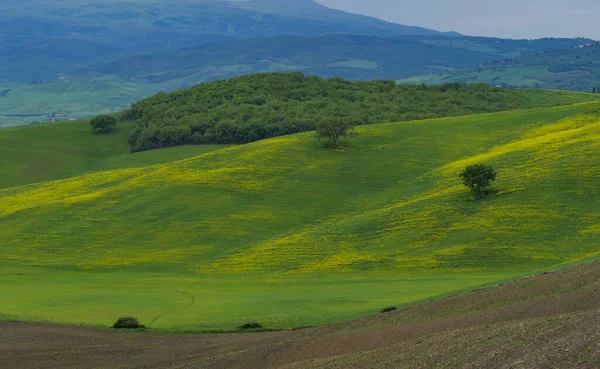 İlkbaharda Toskana tarlaları, bulutlu bir gün, Val d 'Orca, Pienza bölgesi
