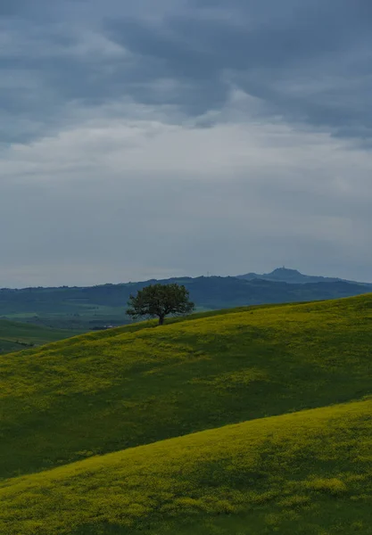 İlkbaharda Toskana tarlaları, bulutlu bir gün, Val d 'Orca, Pienza bölgesi