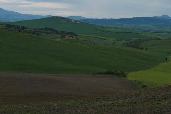 Toskana Felder Frühling Bewölkte Tagesstimmung Val Orca Region Pienza — Stockfoto