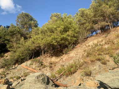 dağ manzarası, mavi gökyüzü, ağaçlar, bulutlar, dağlar, kayalar, manzara,