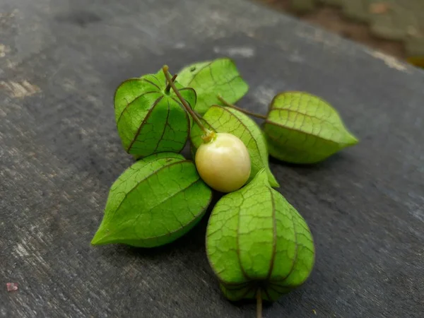 野生水果秘鲁植物 又称莫雷尔浆果 金黄色果实有一个绿色的膜 在一个黑色的棕色木板上 — 图库照片