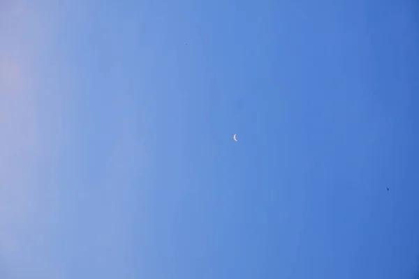 여름날푸른 하늘의 — 스톡 사진