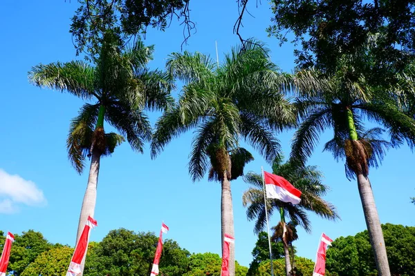 Endonezya Bayrağıyla Mavi Gökyüzü Hindistan Cevizi Ağaçlarının Manzarası — Stok fotoğraf