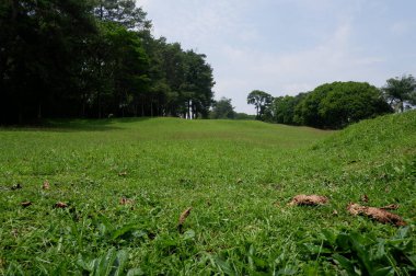 Nature green grassy golf field under a cloudy sky in summer day