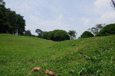 Nature green grassy golf field under a cloudy sky in summer day