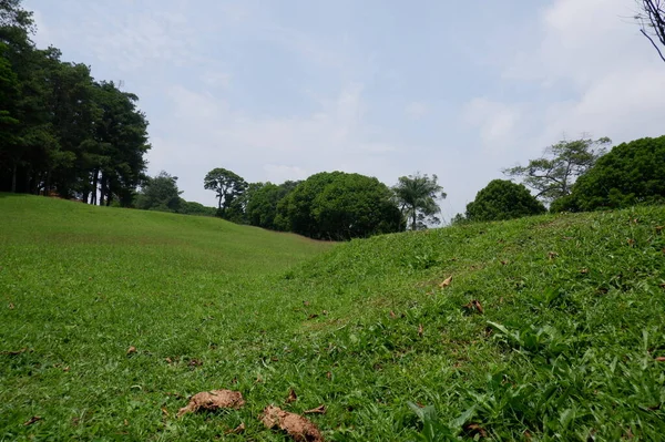 Nature green grassy golf field under a cloudy sky in summer day