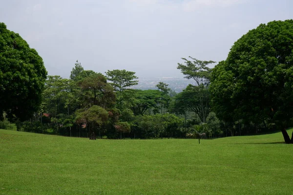 Panoramic view of green golf course with big trees growing in bright sunlight