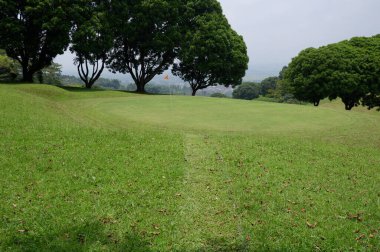 Panoramic view of green golf course with big trees growing in bright sunlight