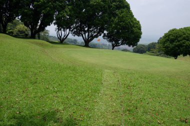 Panoramic view of green golf course with big trees growing in bright sunlight