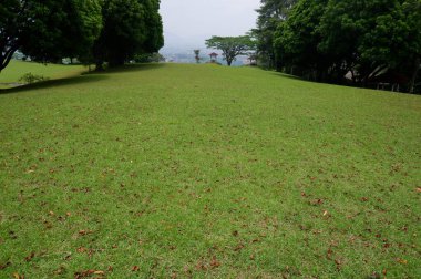 Panoramic view of green golf course with big trees growing in bright sunlight