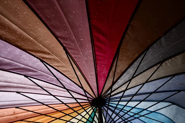 colorful umbrella rain photographed from below