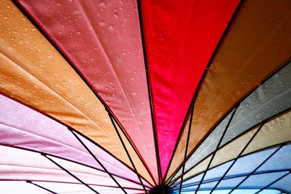 colorful umbrella rain photographed from below