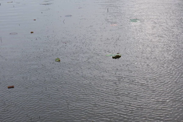 nature lake water surface wave textured
