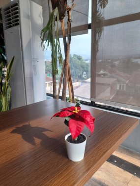 Masanın üzerinde antika bir bitki tasarımı