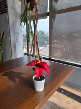 Masanın üzerinde antika bir bitki tasarımı