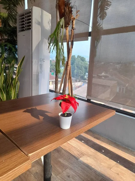 テーブルの上にヴィンテージの植物をデザインし — ストック写真
