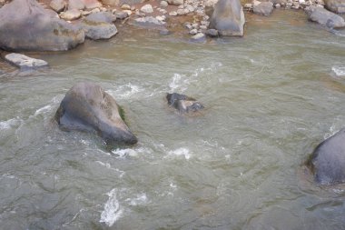 Nehirdeki su sıçramasını kapat. Dalgalardan fışkıran su.