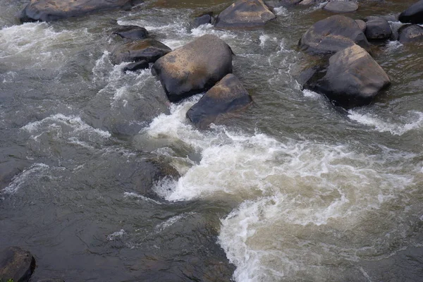 澄んだ水と山の川 渓流の流れの速さ — ストック写真