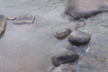 Berrak suyu olan bir dağ nehri. Bir dağ nehrinin hızlı akışı