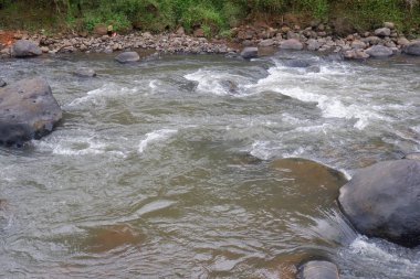 Berrak suyu olan bir dağ nehri. Bir dağ nehrinin hızlı akışı