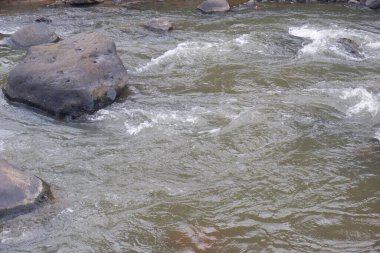 Berrak suyu olan bir dağ nehri. Bir dağ nehrinin hızlı akışı