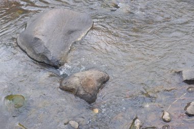 Berrak suyu olan bir dağ nehri. Bir dağ nehrinin hızlı akışı