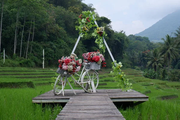 Ponto Foto Bicicleta Com Buquês Flores Coloridas Uma Estrada Rural — Fotografia de Stock