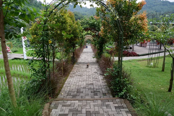 Terowongan Jalan Dengan Tanaman Merambat Taman — Stok Foto