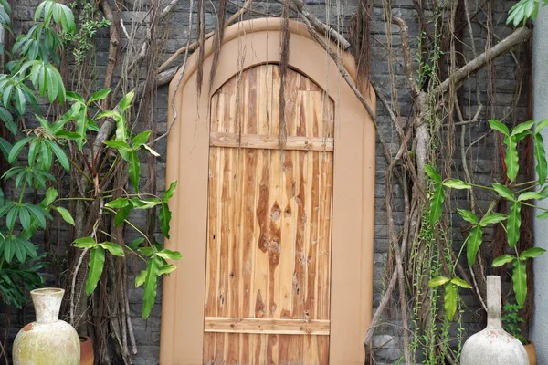 Porta Madeira Casa Velha Decorada Com Plantas Verdes — Fotografia de Stock