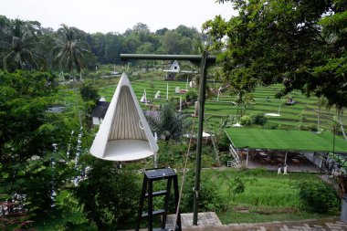 Pirinç tarlasının ortasında fotoğraf var.