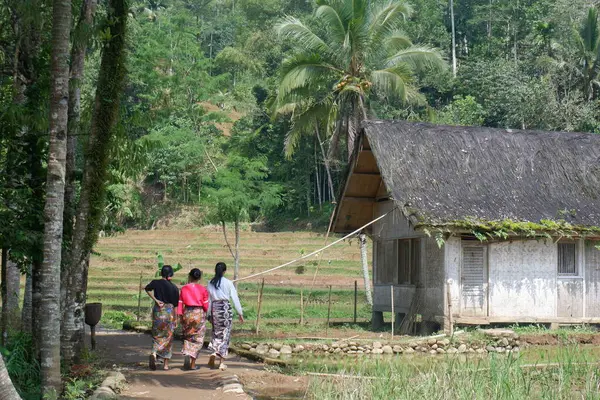 三个少年走到Kampung Naga的村子里 — 图库照片