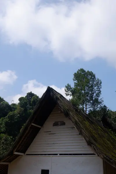 長賀のヤシ繊維の屋根を有する木と竹で作られたユニークな建築の伝統的な家 — ストック写真