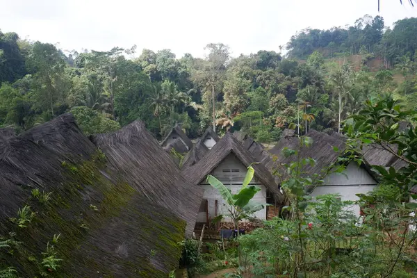 Une Maison Traditionnelle Avec Une Architecture Unique Faite Bois Bambou — Photo