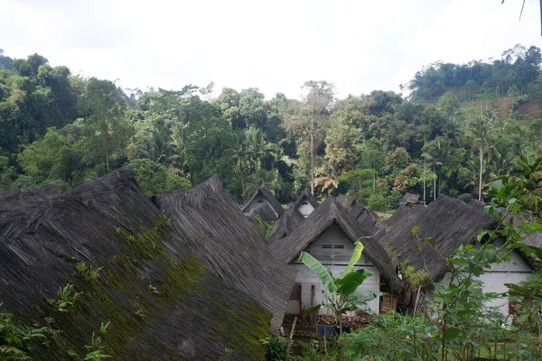 Tradycyjny Dom Unikalnej Architekturze Wykonany Drewna Bambusa Dachem Włókna Palmowego — Zdjęcie stockowe