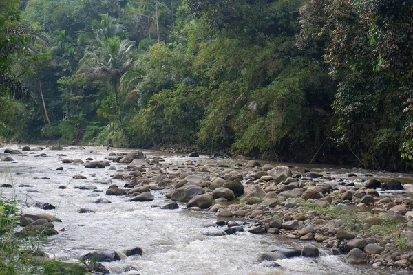 Stony Ciwulan Folyó Egy Buja Zöld Dzsungelben Található Tasikmalaya Nyugat — Stock Fotó